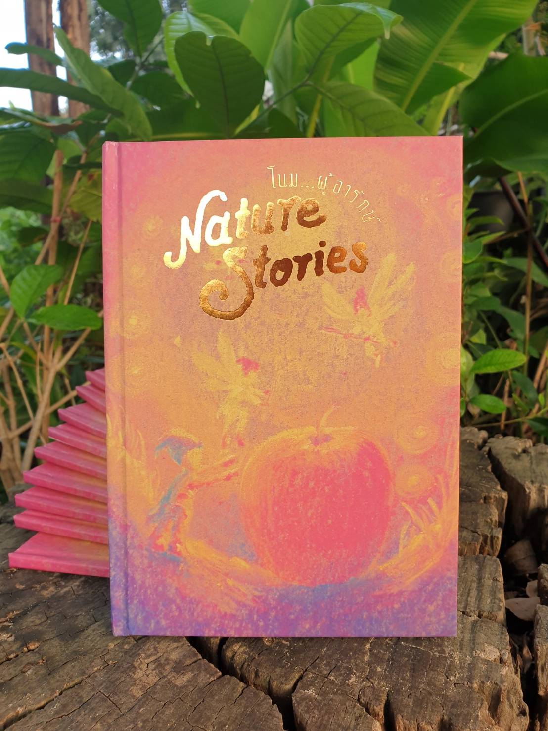 โนม ผู้อารักษ์ - หนังสือนิทานแปล Nature Stories