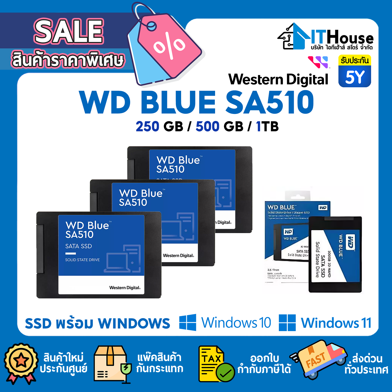 SSD 2.5" SATA : 250GB WD BLUE SA510 (WDS250G3B0A) #5Y