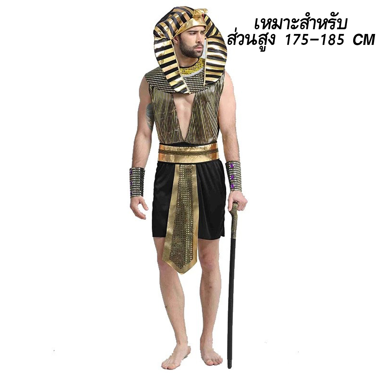 ชุดแฟนซี ฟาโรห์ B ผู้ชาย 175-185 CM